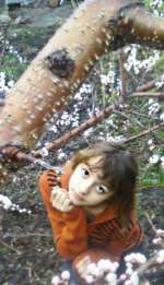 foto-0170-7a86ee917b4093498d2ae8bd13ce7c23b61bb177