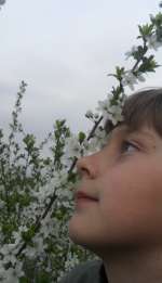 sam_0470-f06077adf8cbc415e61762ae494ffd14992aa5fb