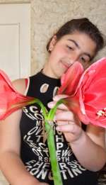 sam_396060-1ae5b4227035c41b9a67ea7914afbabc484c64e0