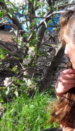 sam_3963-f589a3f5cb1d20bf3c5dafcc0231cd6ac928fe46