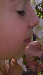 x_a1eff8f9-51ad9dfcfeb31ea9824c5b4794a52f1b97b06741