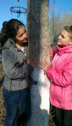 31032012963-870ab19006f46f0b8bfd3c302881096197466db3