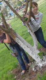 VLUU L210  / Samsung L210