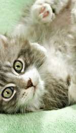 94a58335413c85e8658332-1280-1cc696962fa463cb985a9c4617b4f1b06e776889