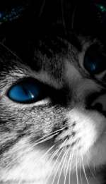 3-normalno-3fcfbcd6d0d041cf29faad88c31e75b30f4c625f