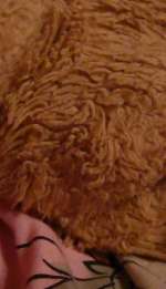 p1020534-a98afc3c297076c88d0cd630980bb0f28c5324b1