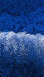 zima-f221bdd6ba64f4bbf6a433a0b38c525be71d37db